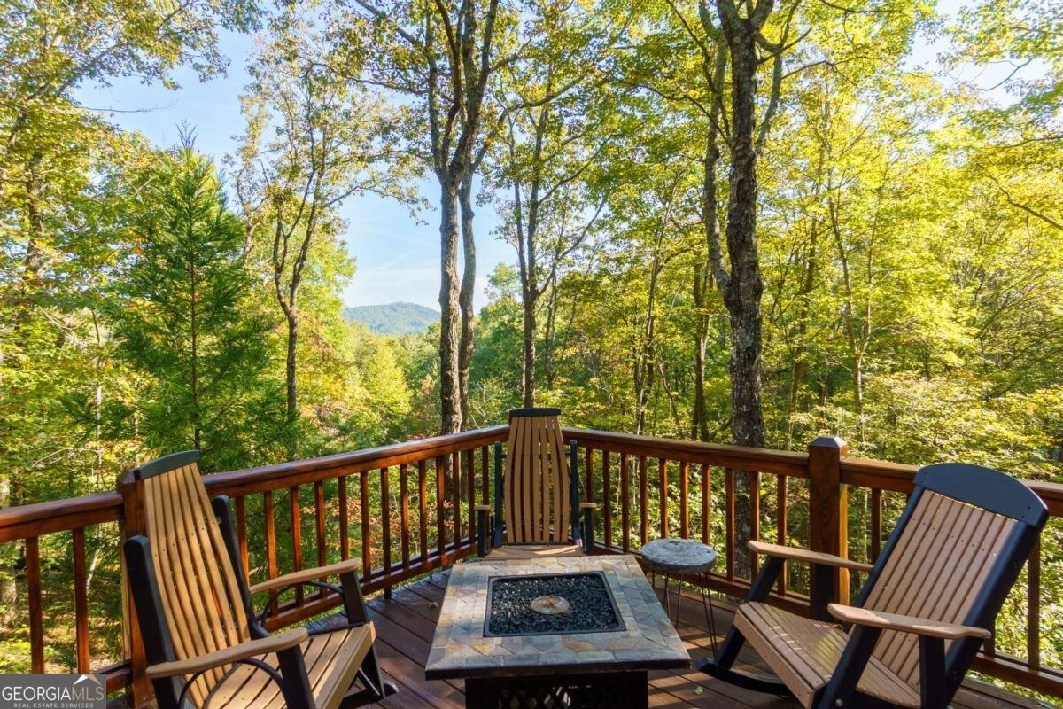24 Casey Court Blue Ridge - 29