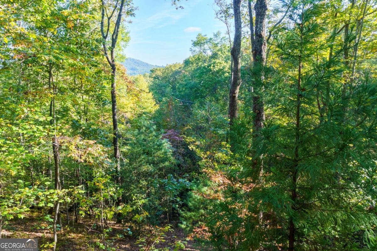 24 Casey Court Blue Ridge - 32