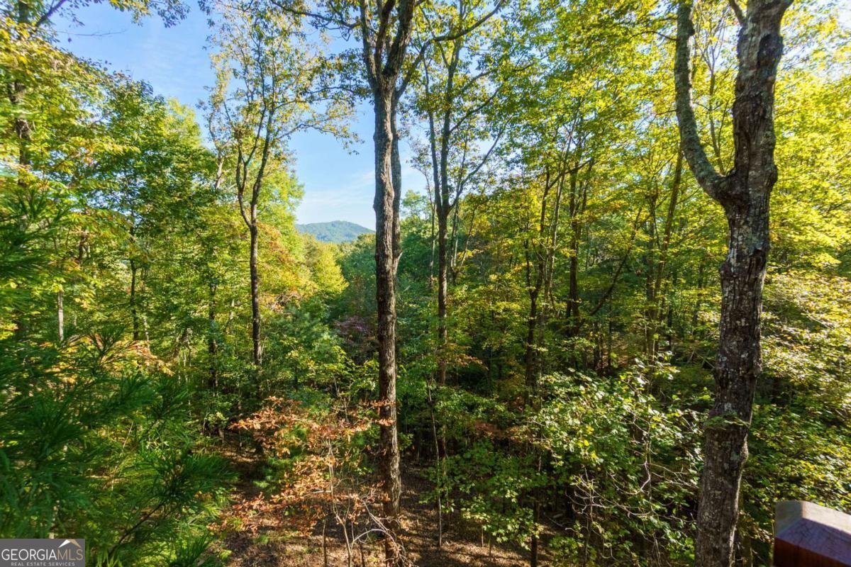 24 Casey Court Blue Ridge - 33