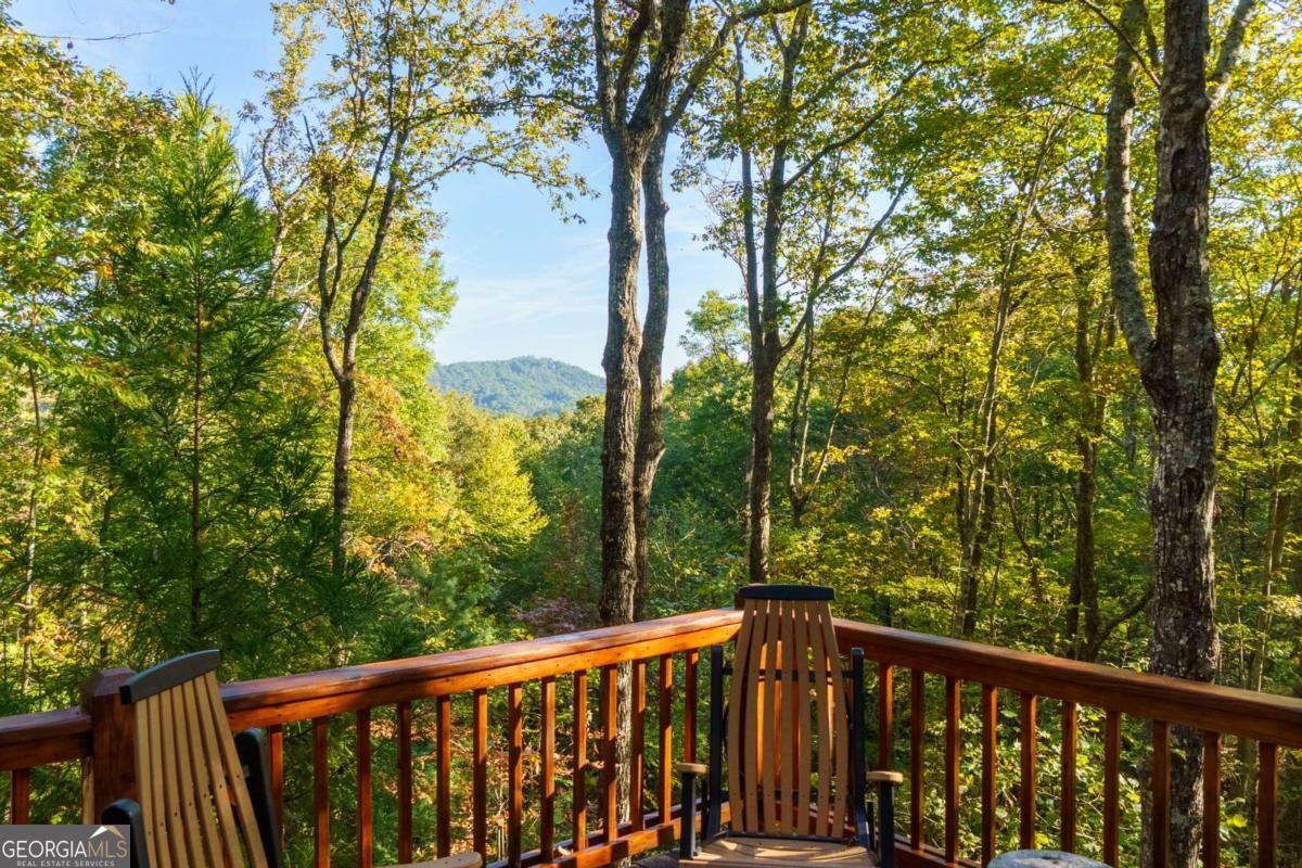 24 Casey Court Blue Ridge - 34