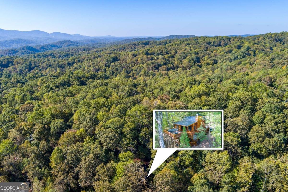 24 Casey Court Blue Ridge - 50