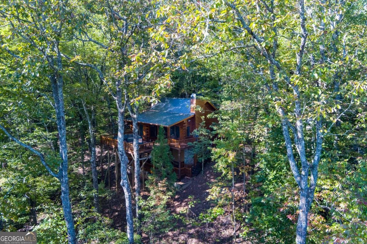24 Casey Court Blue Ridge - 51