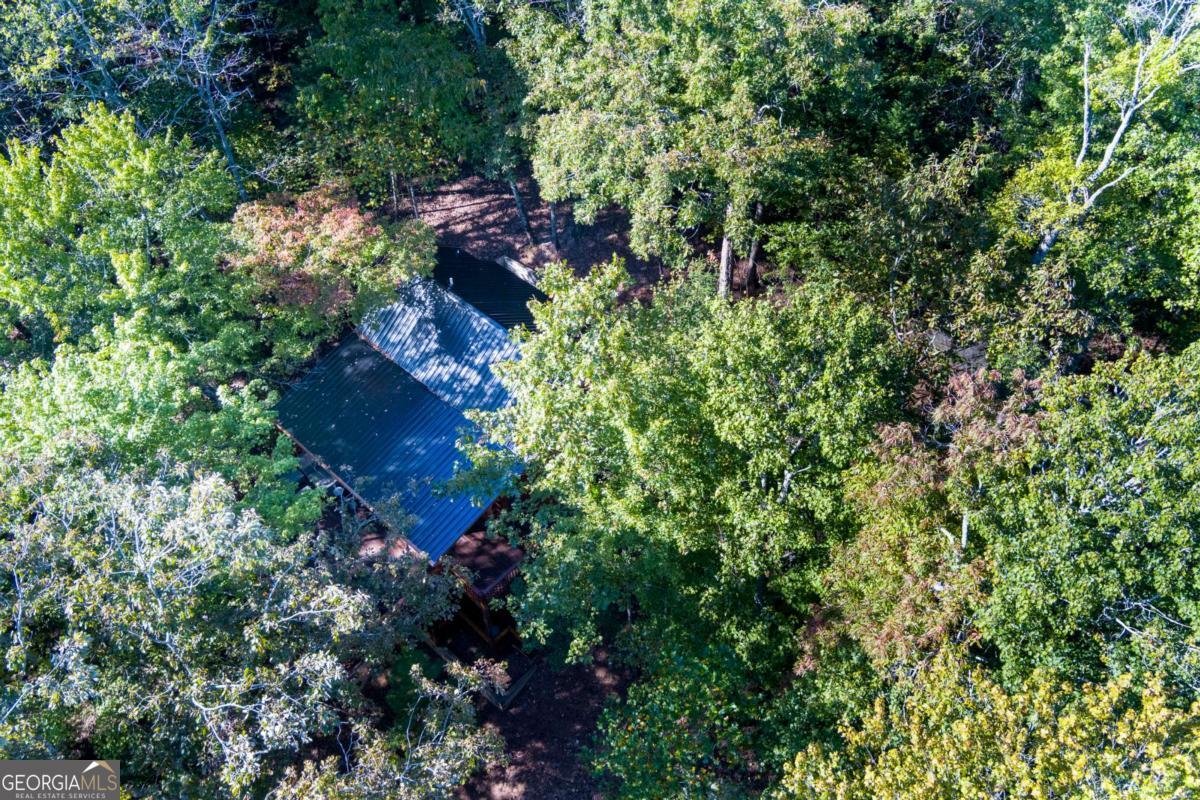 24 Casey Court Blue Ridge - 52