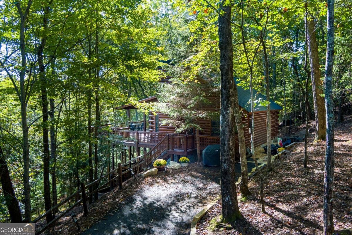 24 Casey Court Blue Ridge - 54