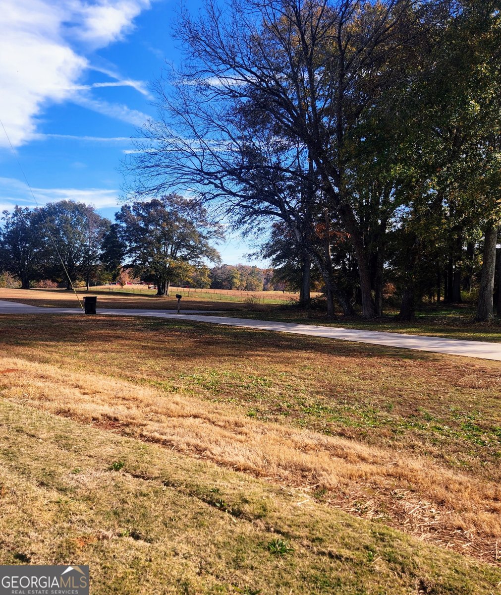 40 Austin Drive Mcdonough - 19