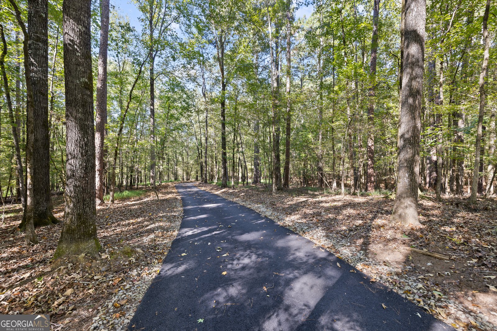 161 Hoot Owl Lane Eatonton - 8