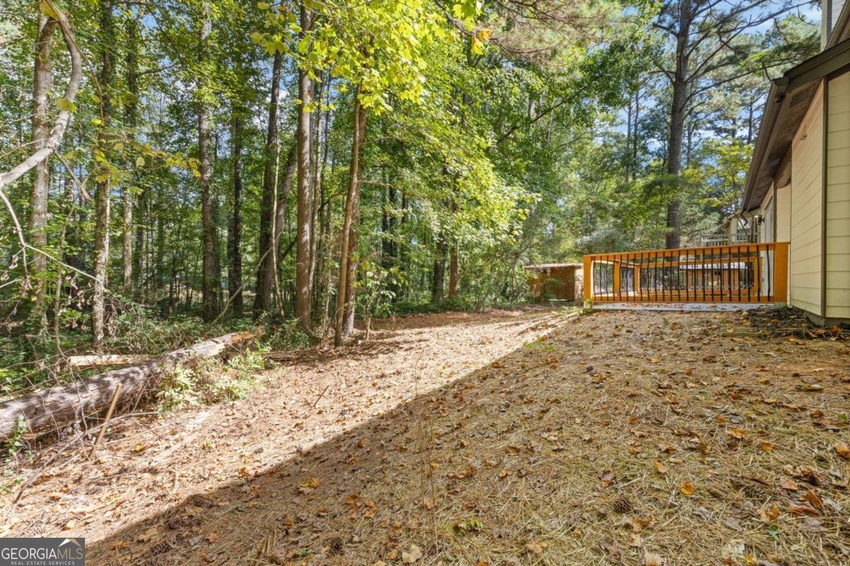 691 Paden Mill Trail Lawrenceville - 27
