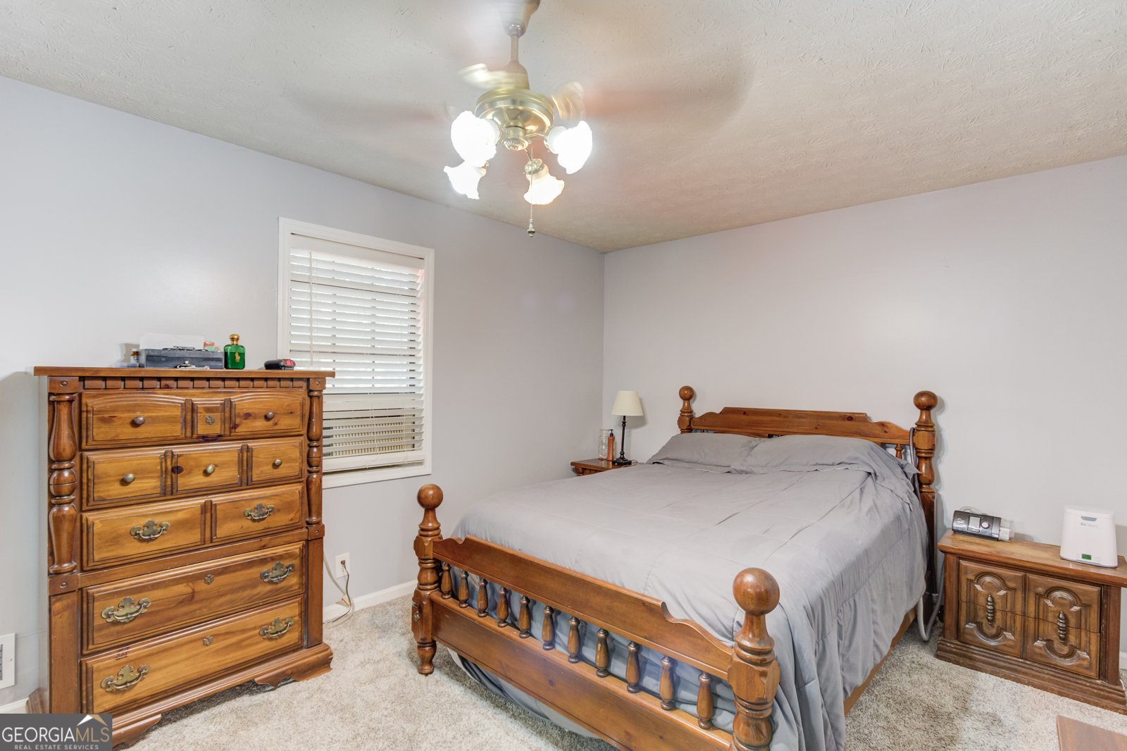 2141 Tropicana Drive Suwanee - 10