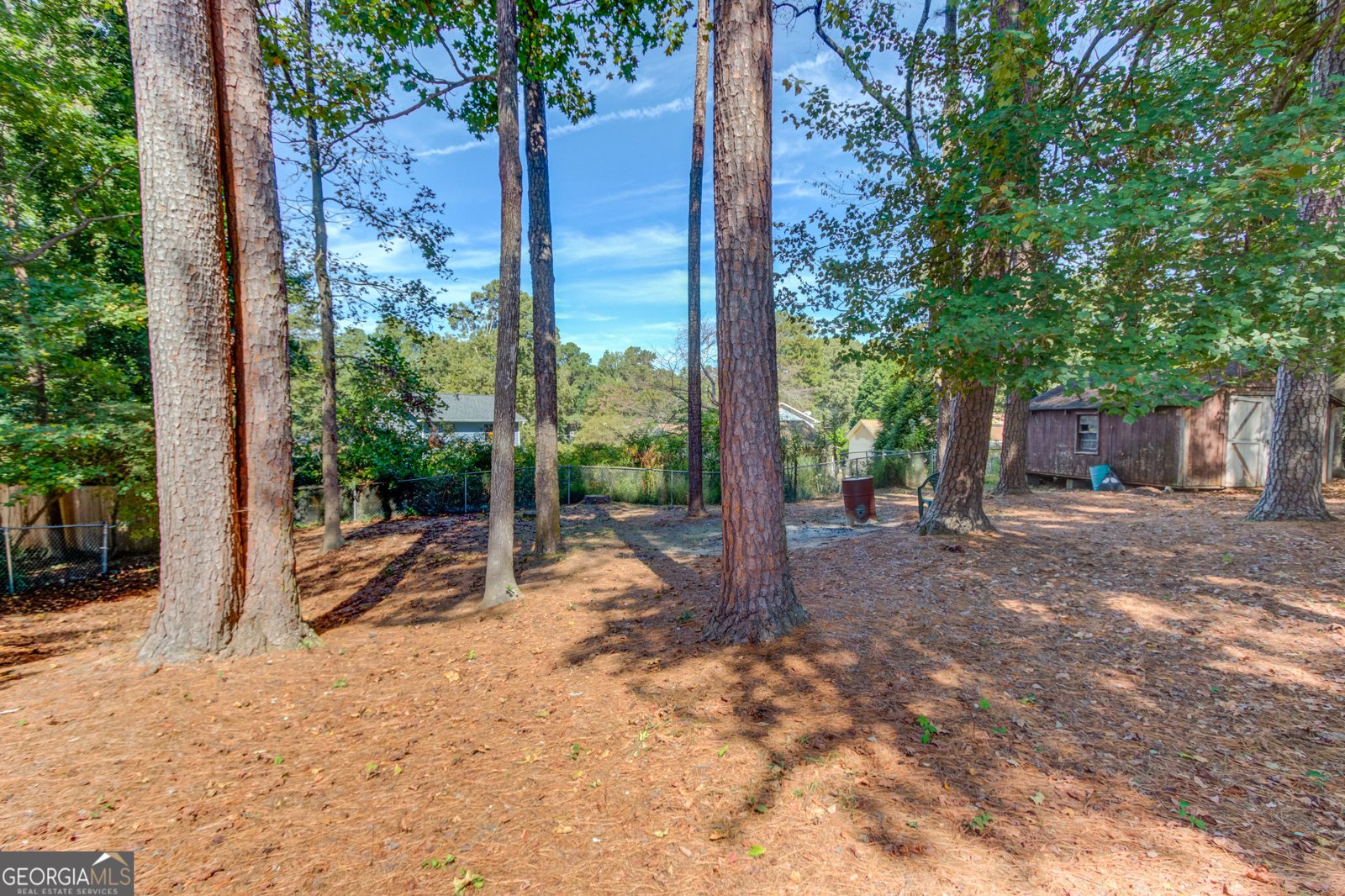 2141 Tropicana Drive Suwanee - 24