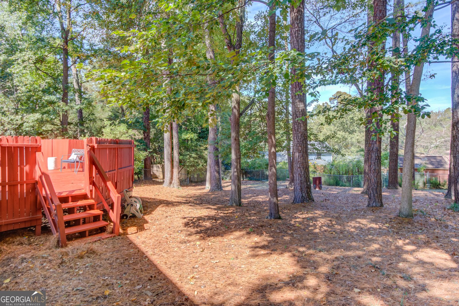 2141 Tropicana Drive Suwanee - 26