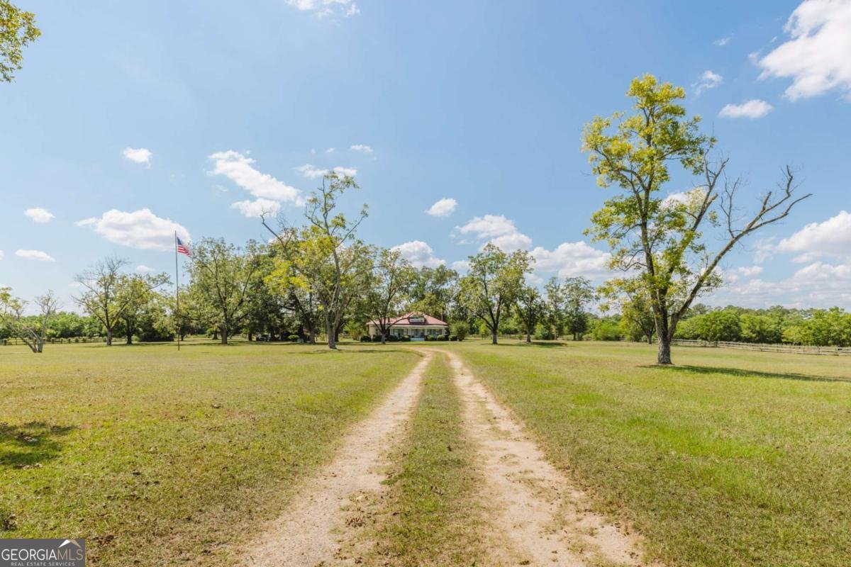 6310 Ga Hwy 520 Parrott - 4