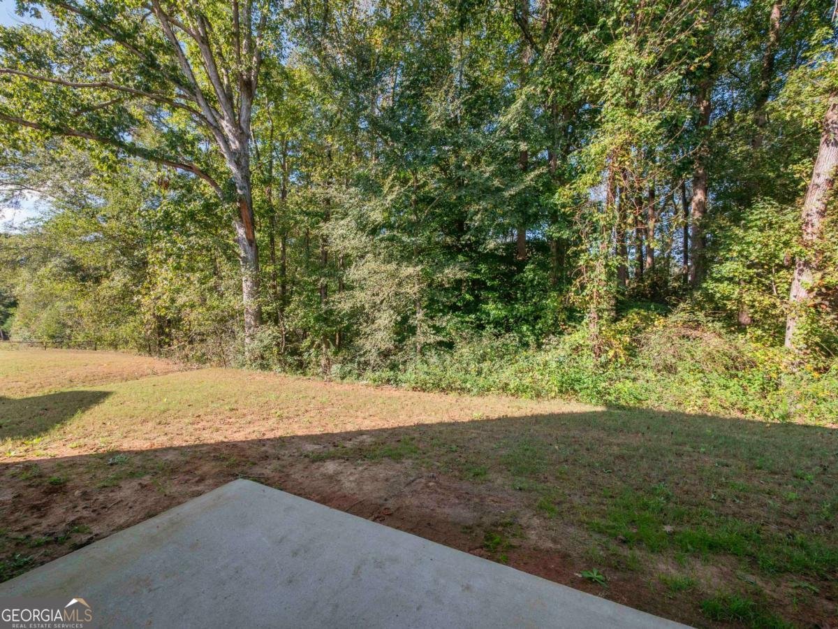 357 Hughes Lane Pendergrass - 39
