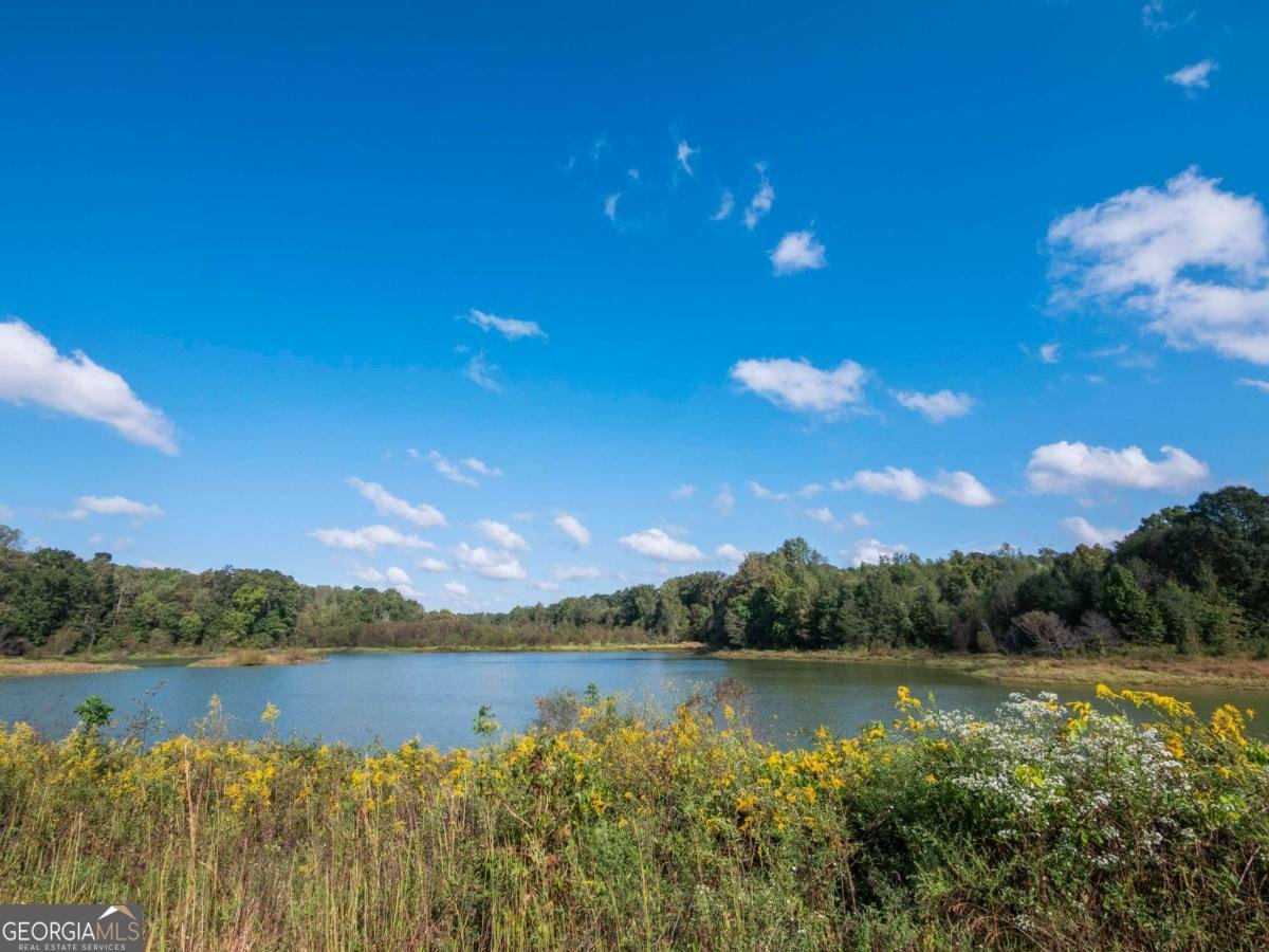 357 Hughes Lane Pendergrass - 43