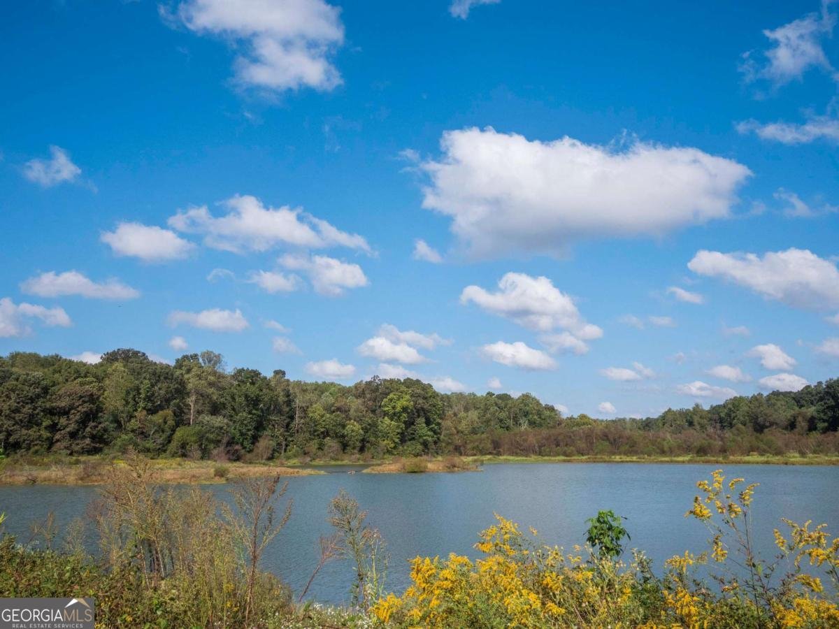 357 Hughes Lane Pendergrass - 44