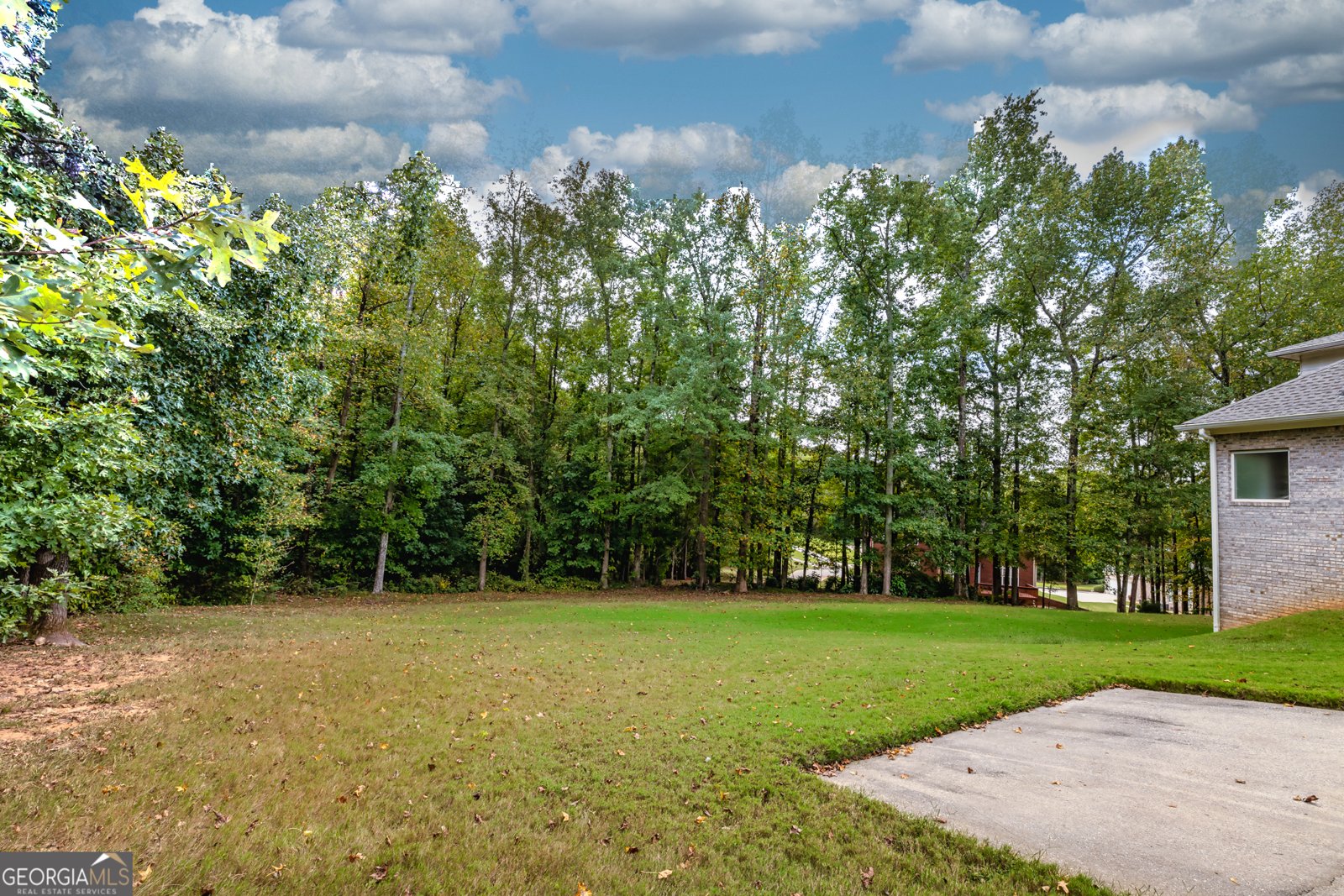 208 Pauline Place Stockbridge - 47
