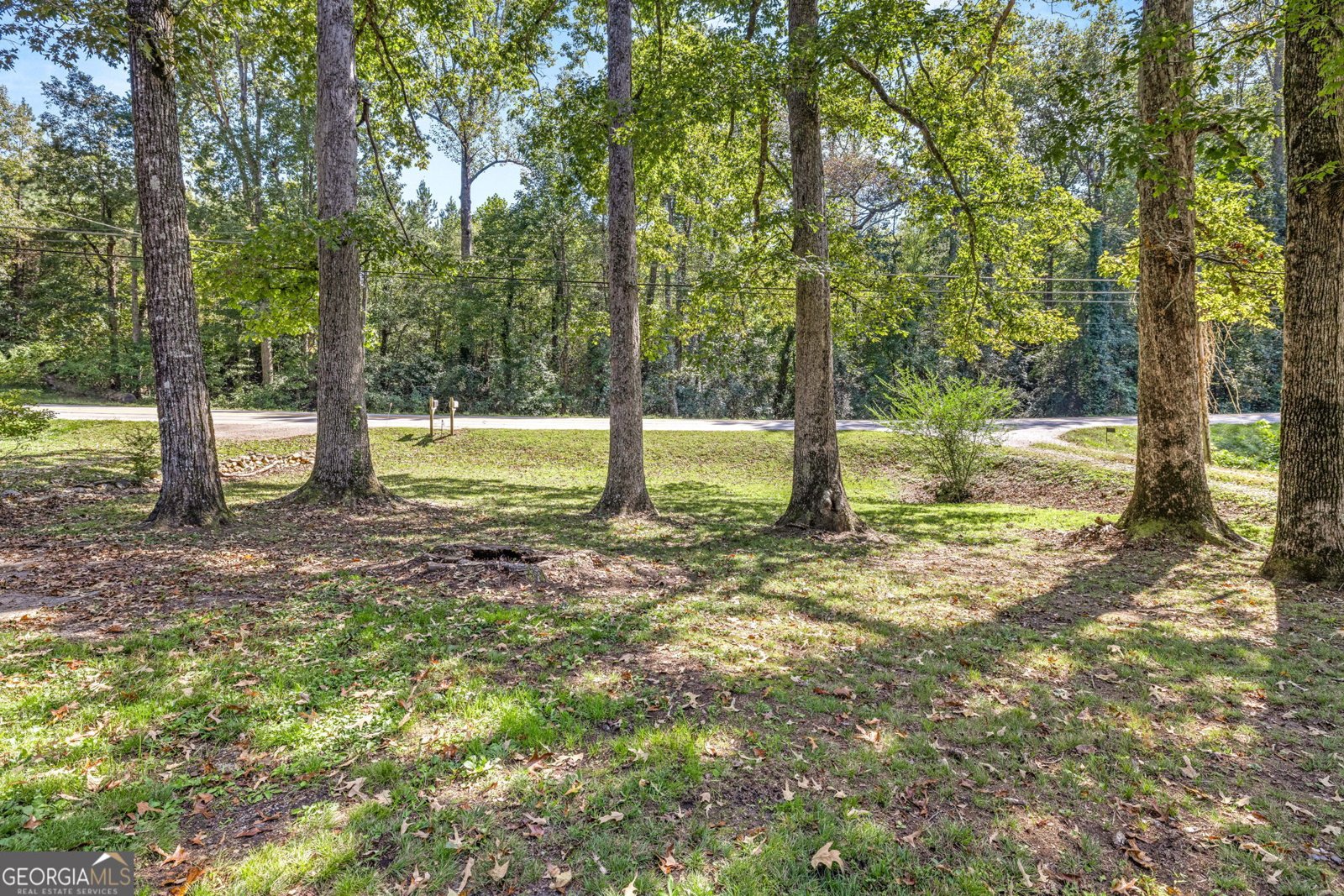 395 Louise Street Clarkesville - 2