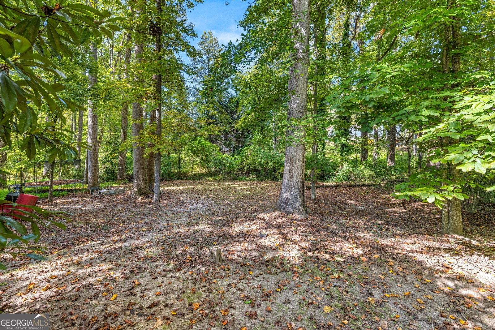 395 Louise Street Clarkesville - 32