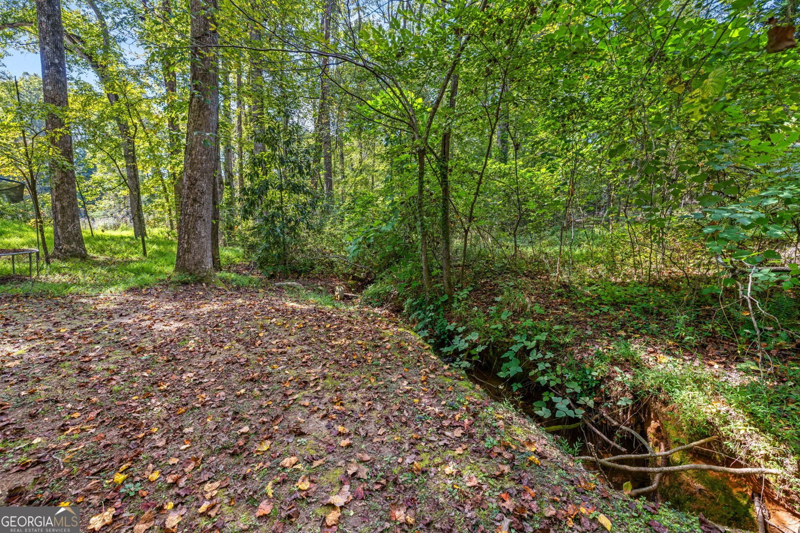 395 Louise Street Clarkesville - 33