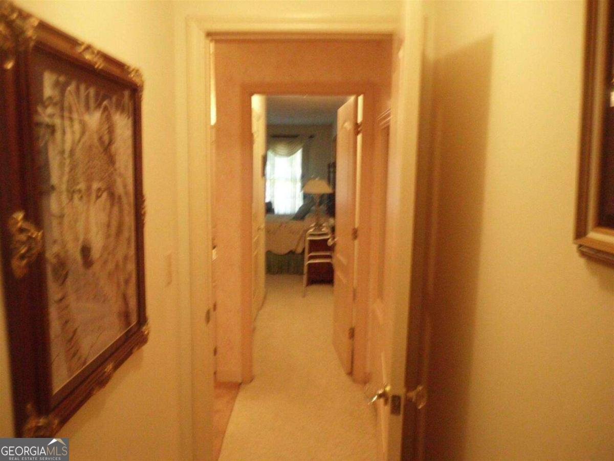 3315 Salem Cove Trail Conyers - 3
