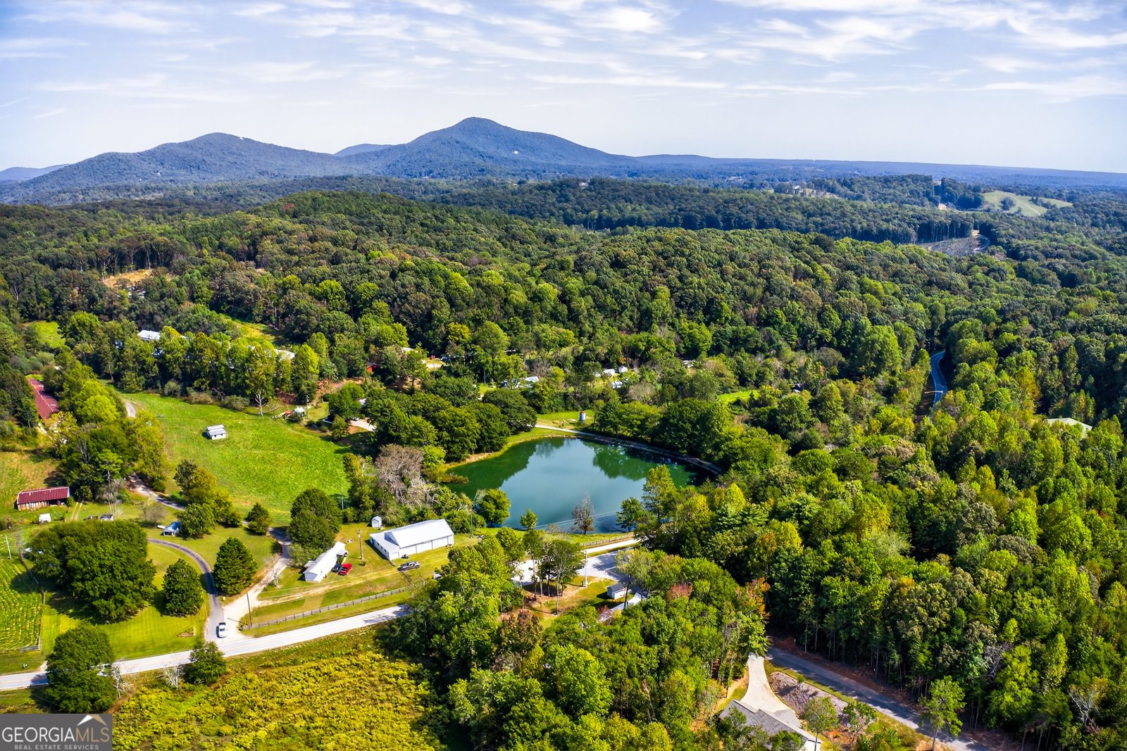 100 Rocky Branch Drive Murrayville - 37