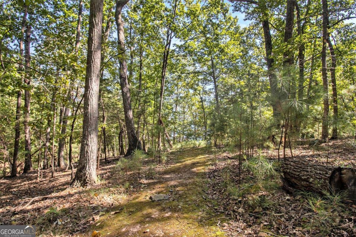3115 Chimney Cove Lane Cumming - 23