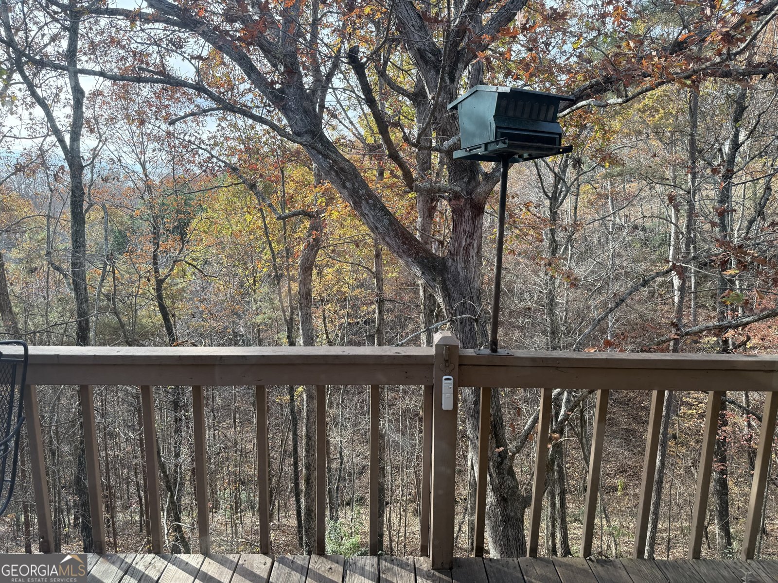 76 Remington Lane Jasper - 12