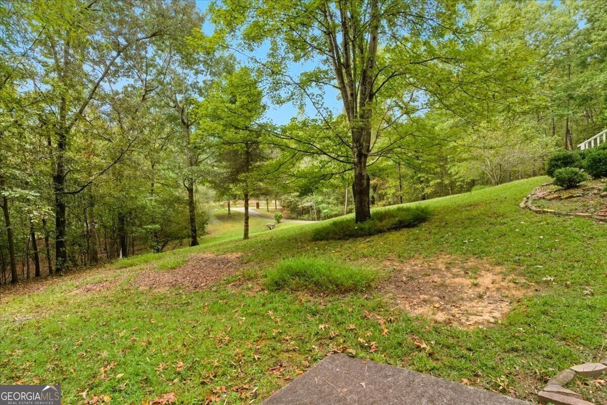 16 Webb Drive Cartersville - 3