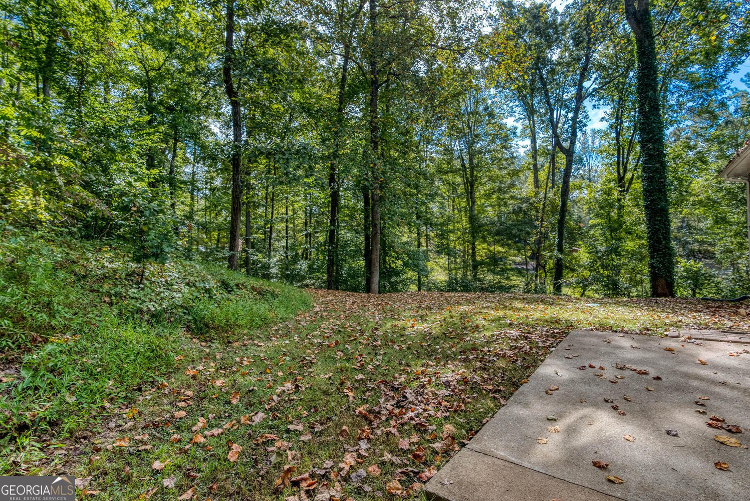 930 New Hope Road Atlanta - 23