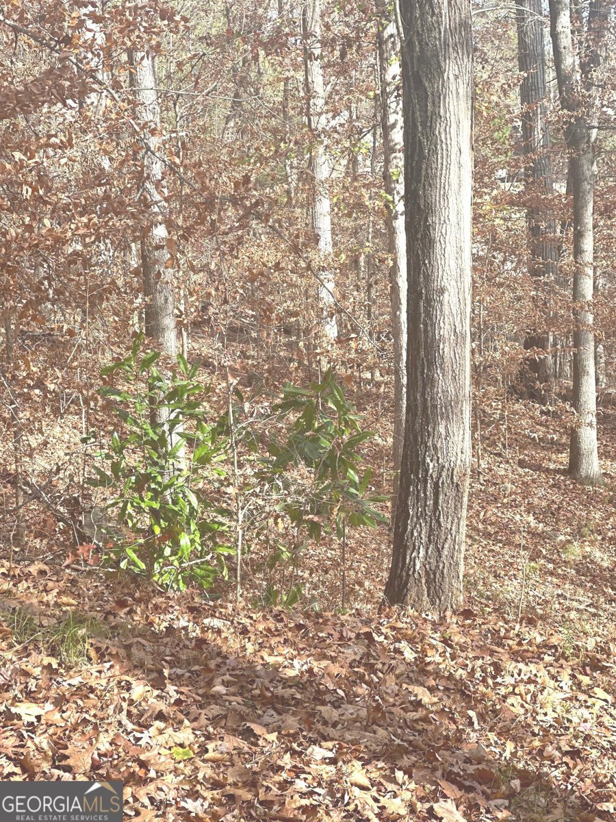 930 New Hope Road Atlanta - 28