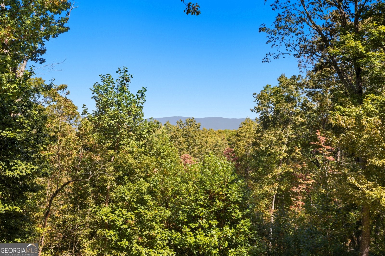 1947 Ivy Mountain Road Clarkesville - 12
