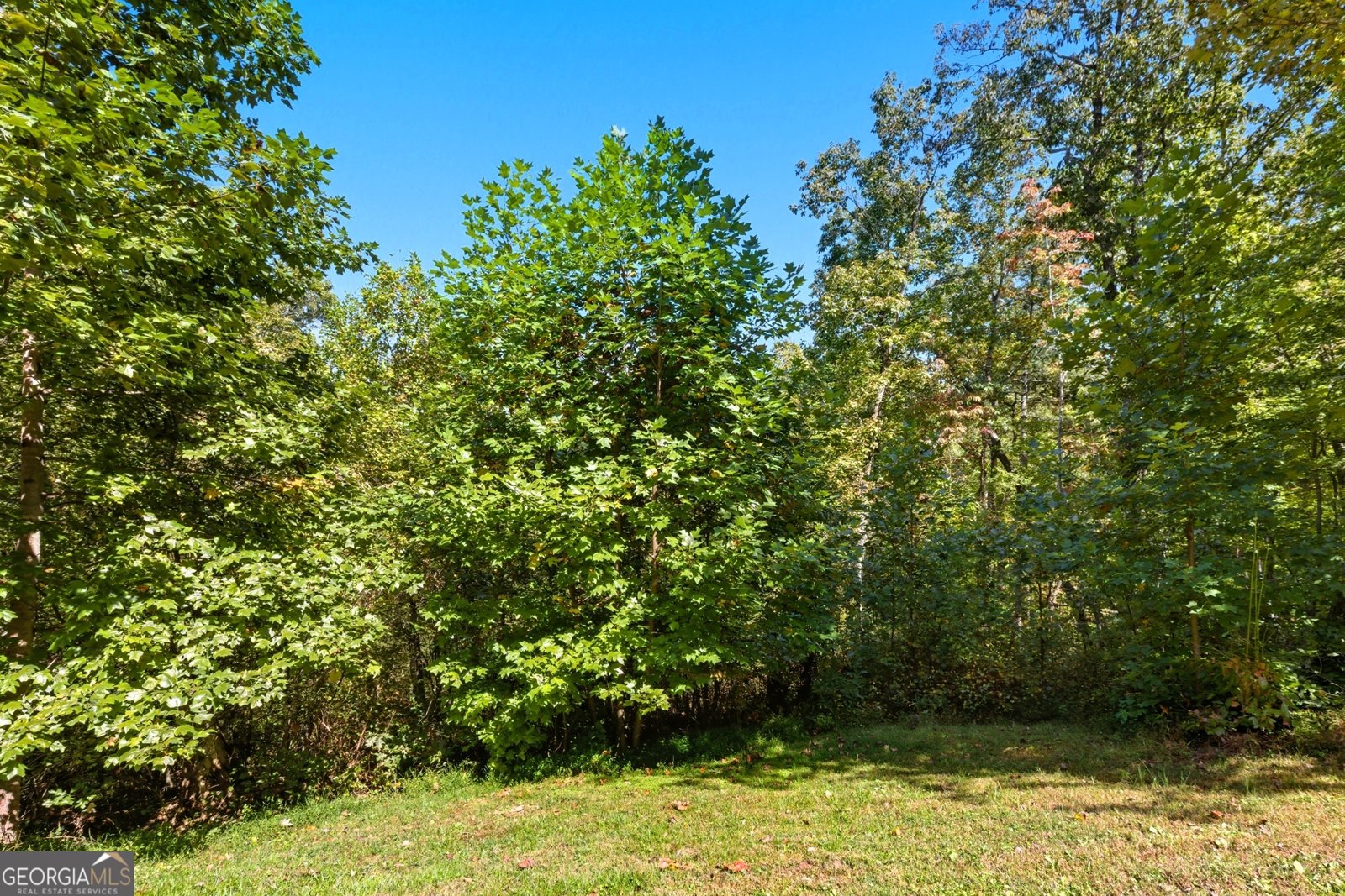 1947 Ivy Mountain Road Clarkesville - 31
