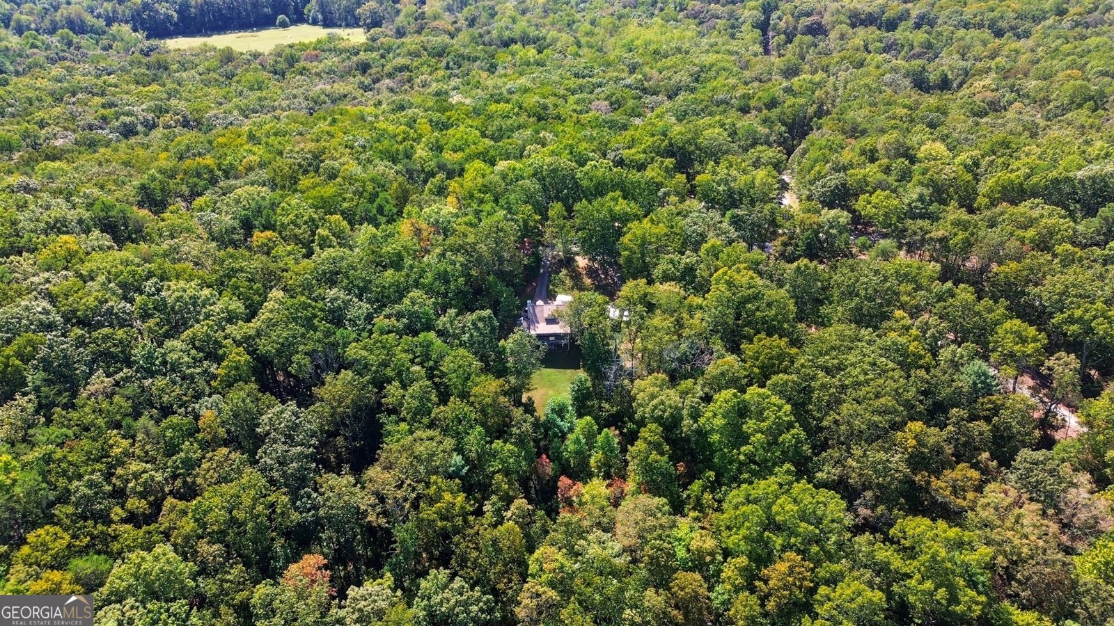 1947 Ivy Mountain Road Clarkesville - 35
