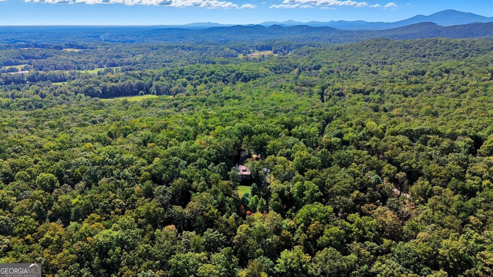 1947 Ivy Mountain Road Clarkesville - 37