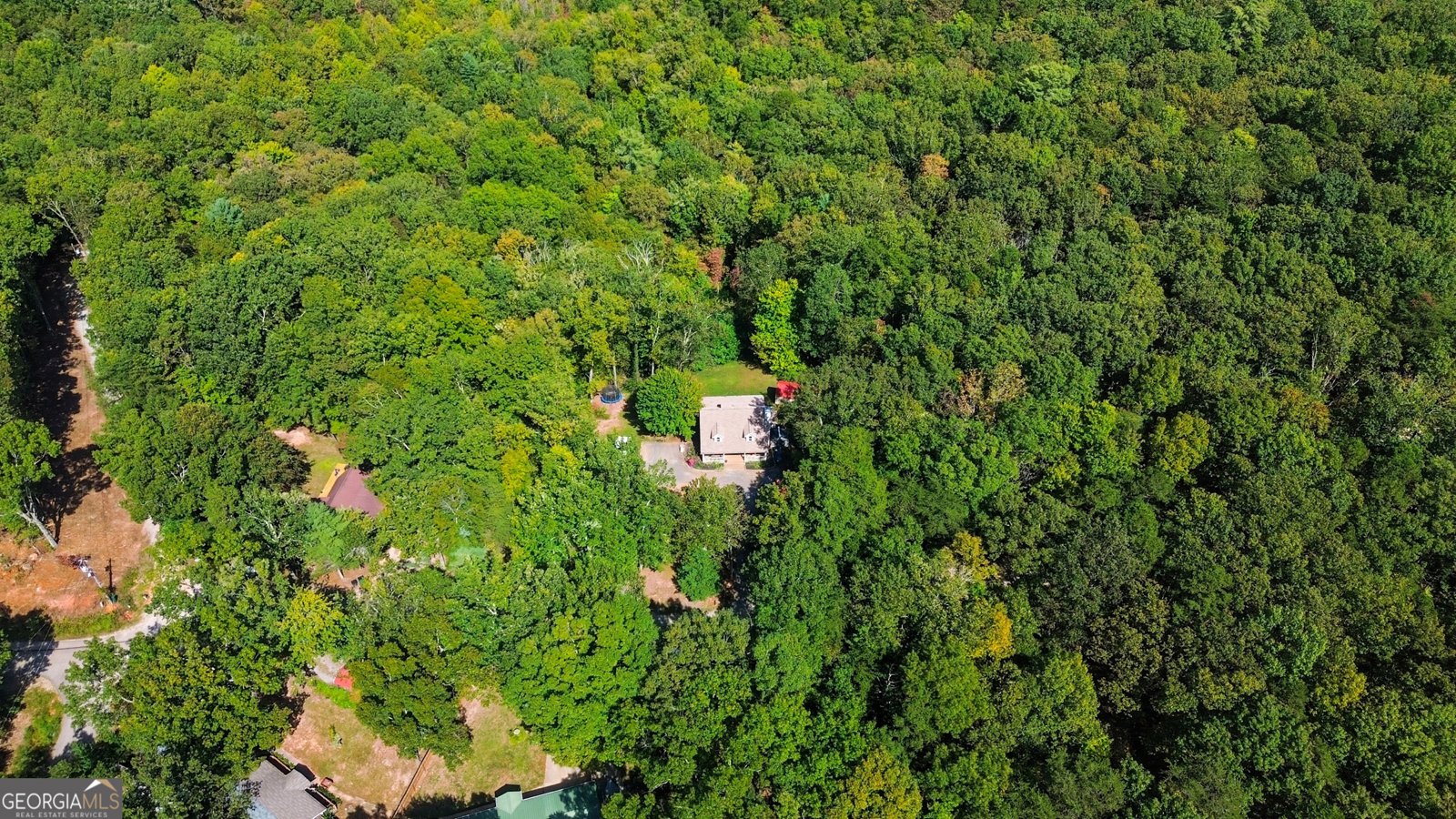 1947 Ivy Mountain Road Clarkesville - 39