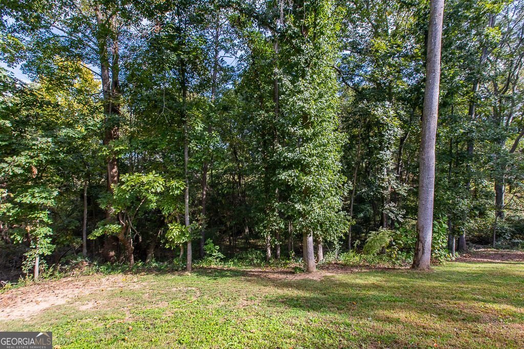 108 Albright Court Commerce - 69