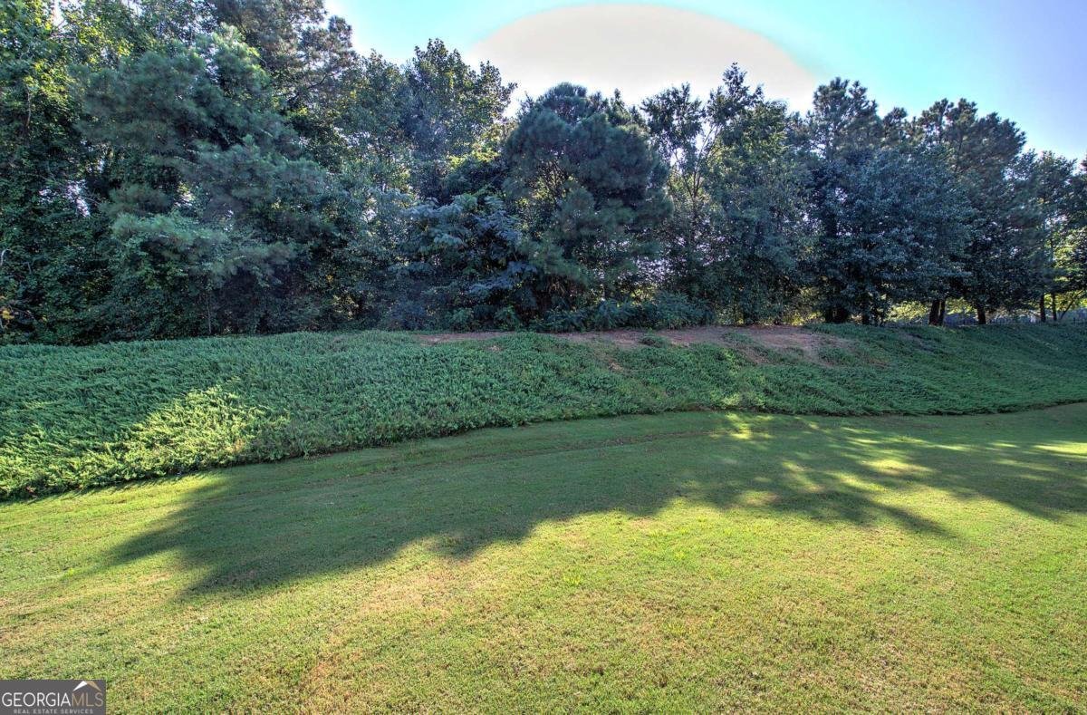 3383 Raes Creek Road Marietta - 7