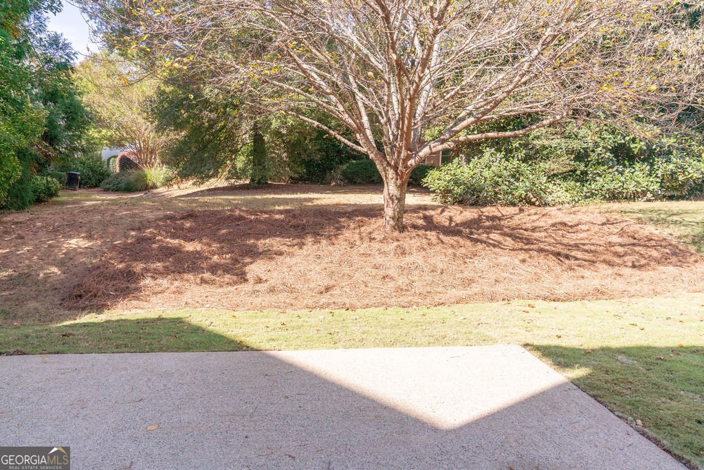 2046 Barberry Drive Buford - 10
