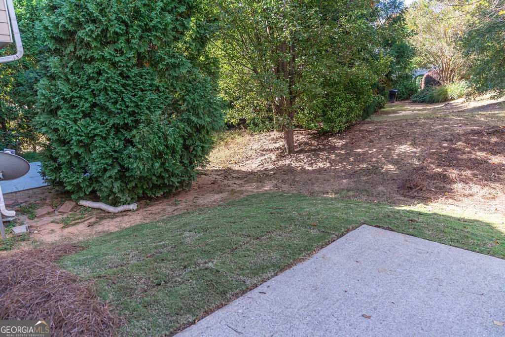 2046 Barberry Drive Buford - 11