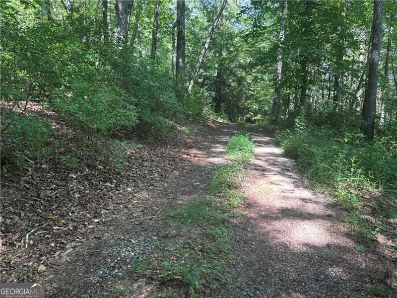 1038 Wilkins Cove Road Suches - 4