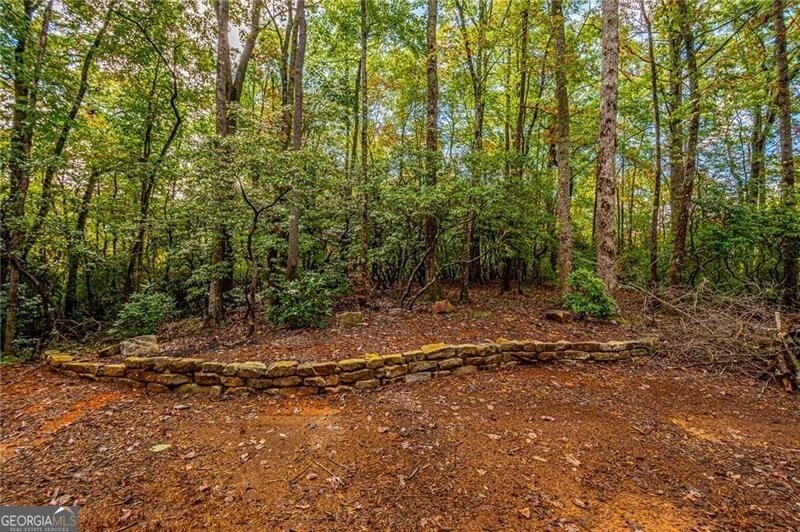 1038 Wilkins Cove Road Suches - 56