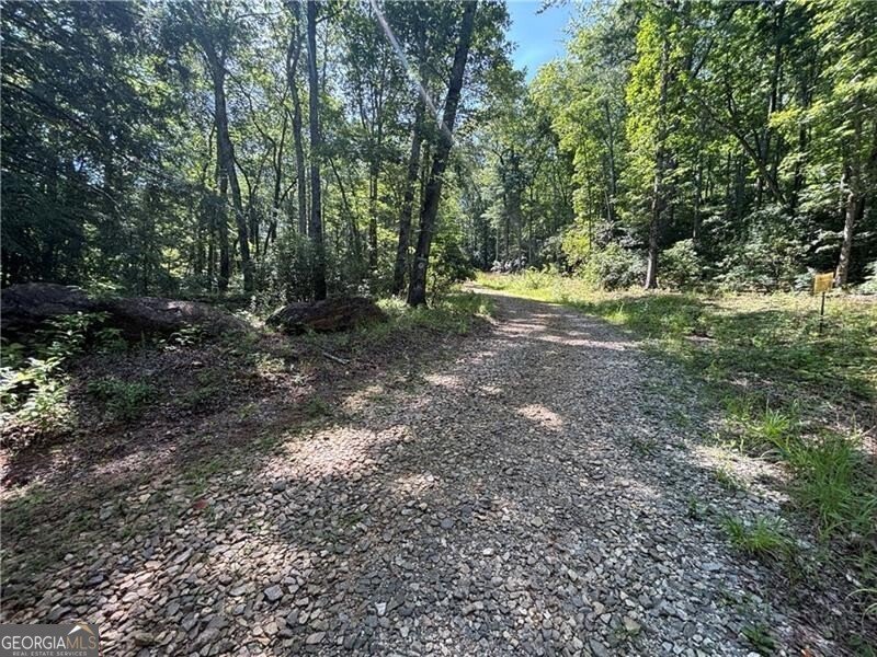 1038 Wilkins Cove Road Suches - 7