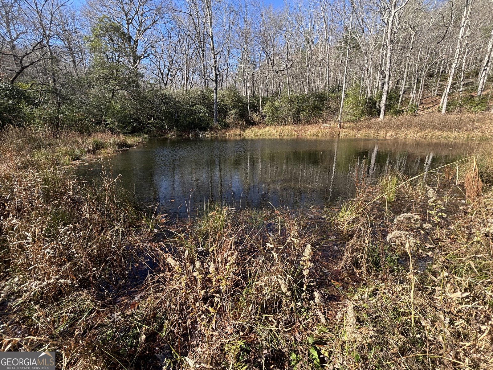 1038 Wilkins Cove Road Suches - 79