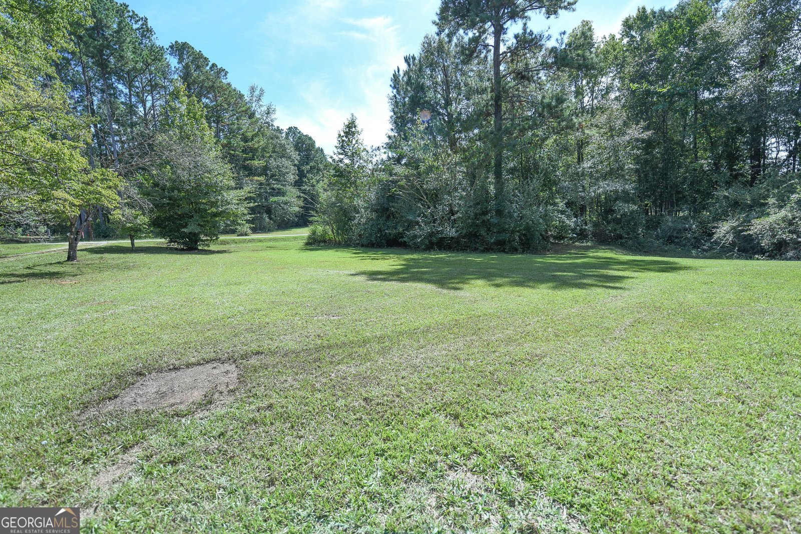 1219 Blue Creek Road Hogansville - 3