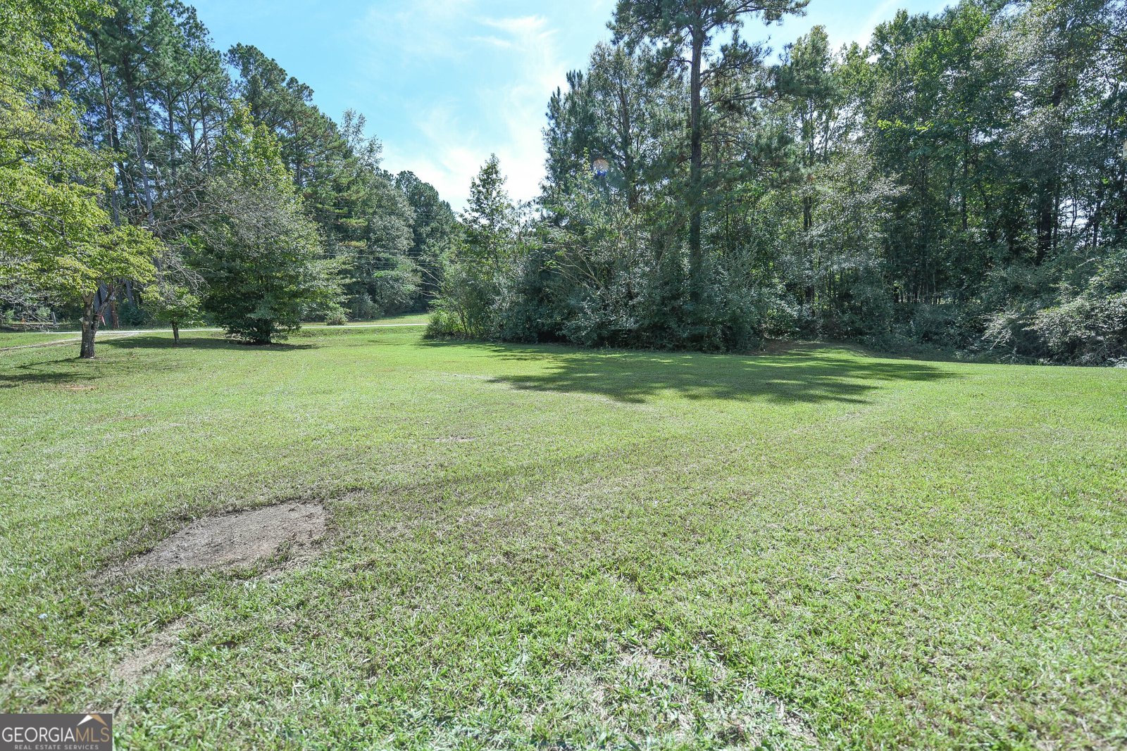1219 Blue Creek Road Hogansville - 5