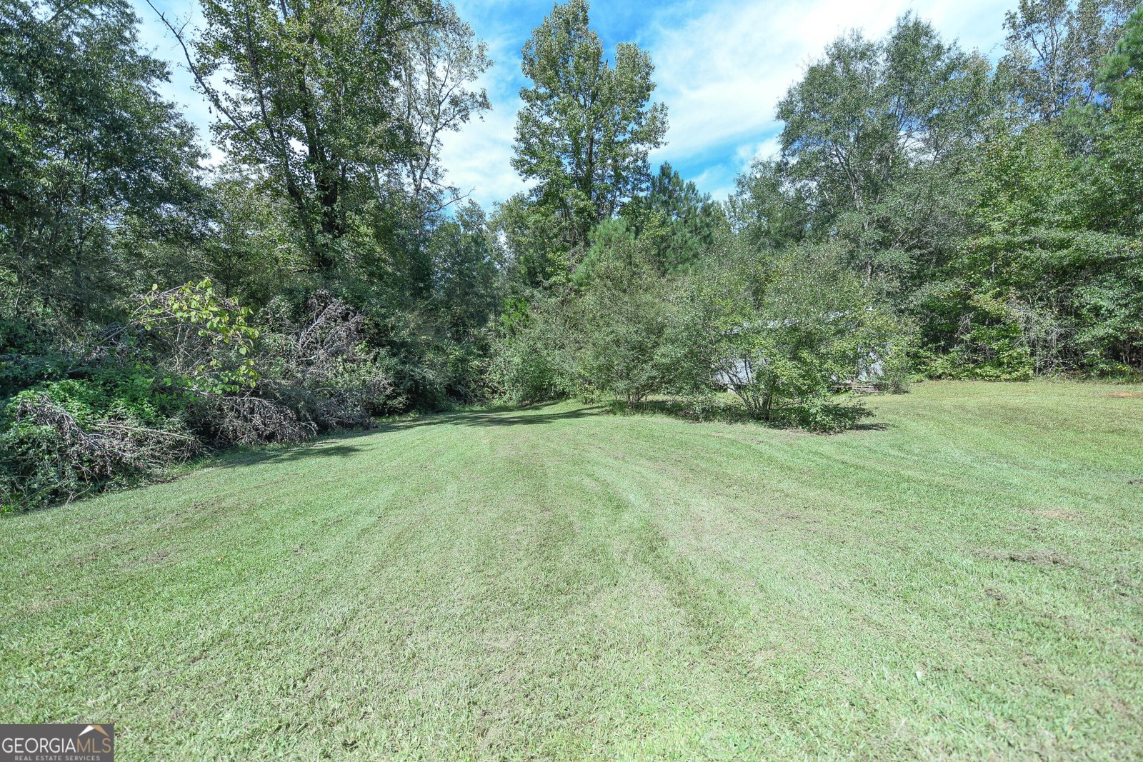 1219 Blue Creek Road Hogansville - 6