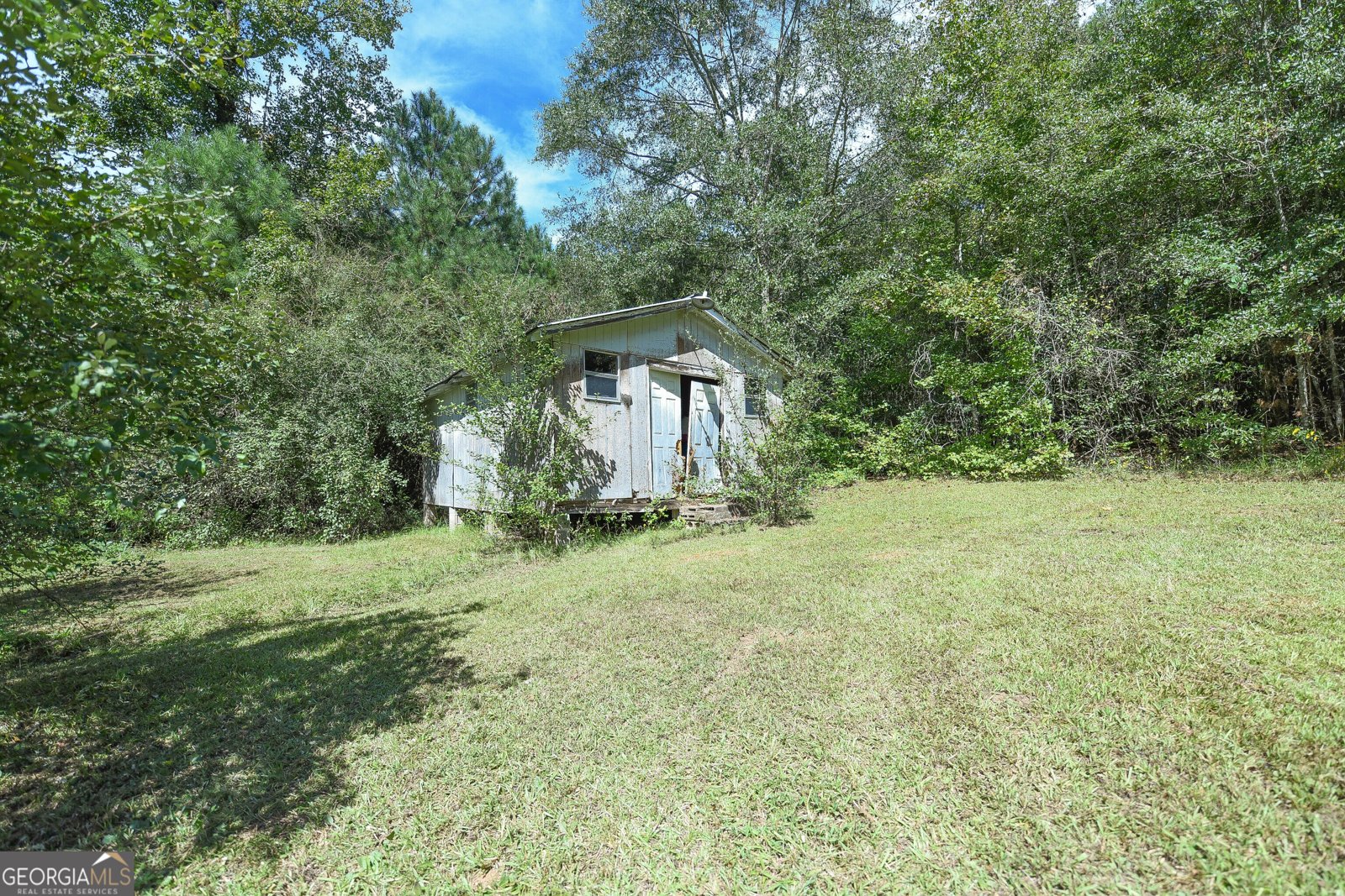 1219 Blue Creek Road Hogansville - 7