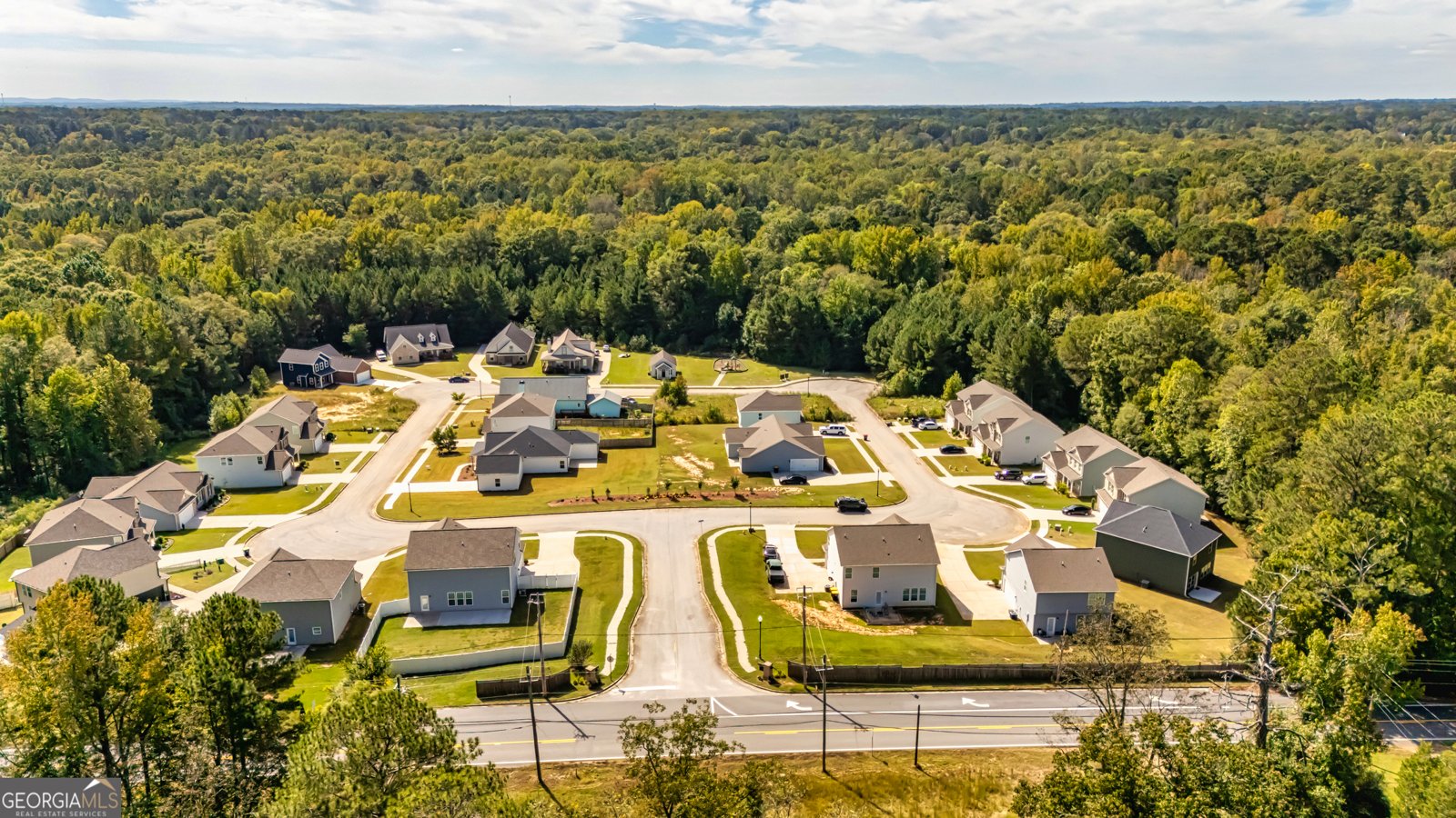 131 Hunts Mill Circle Griffin - 31