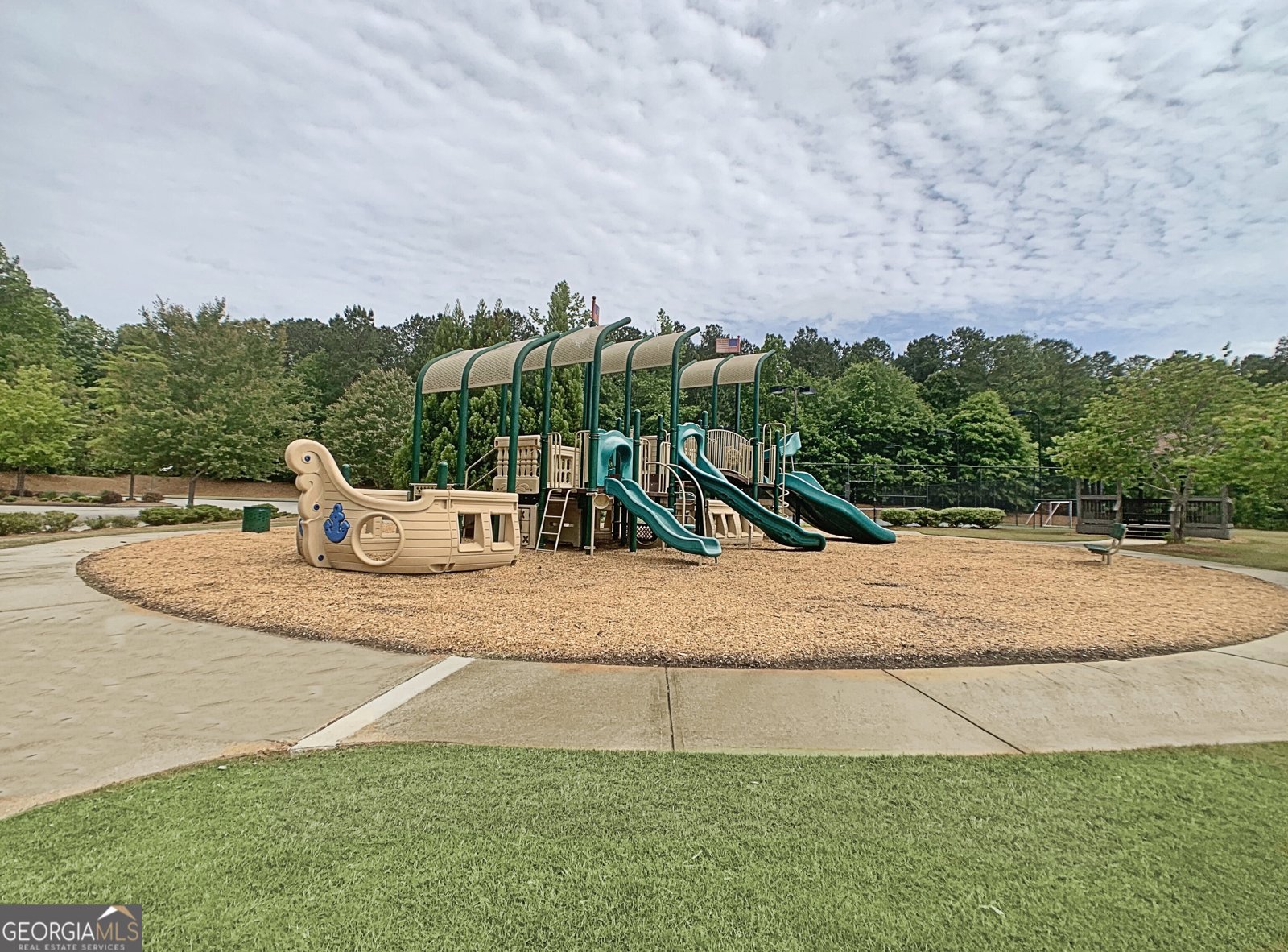 135 Mulberry Drive Senoia - 24