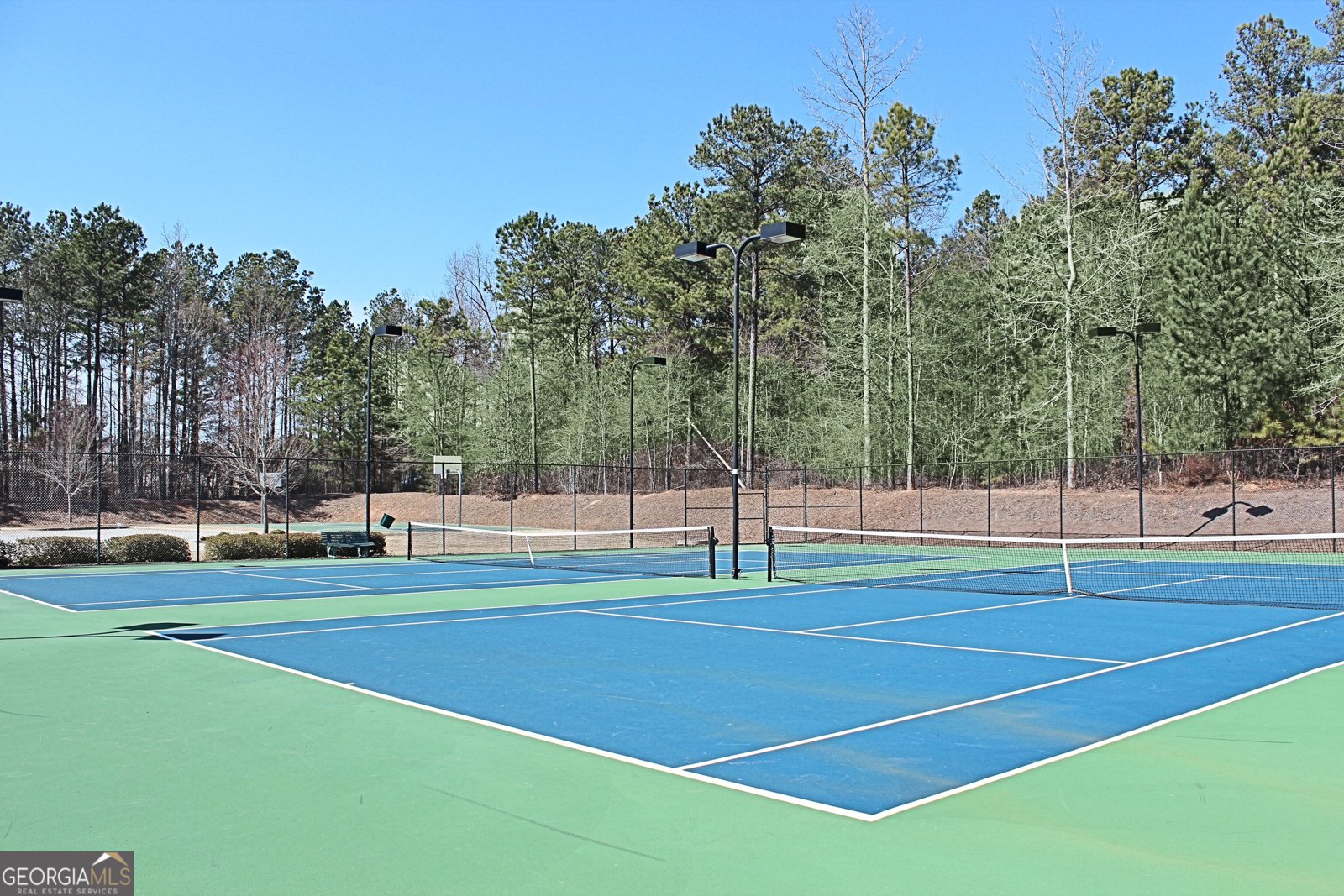 135 Mulberry Drive Senoia - 32