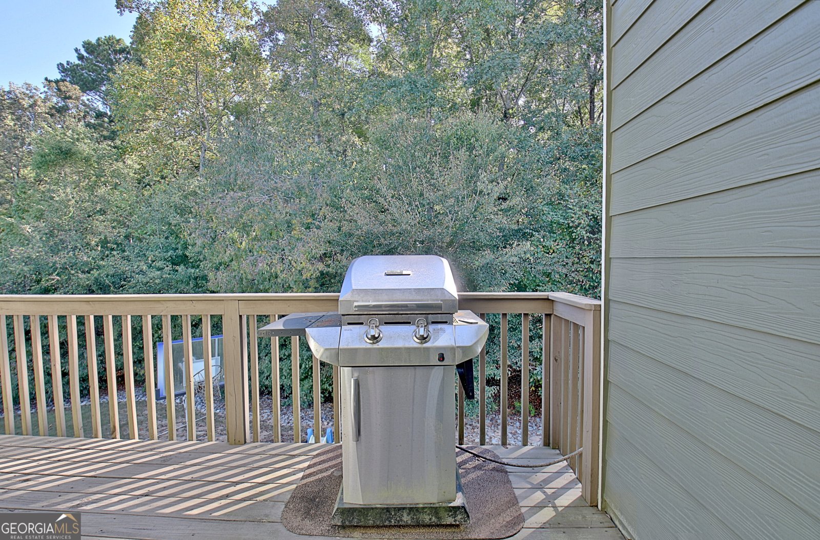 135 Mulberry Drive Senoia - 45